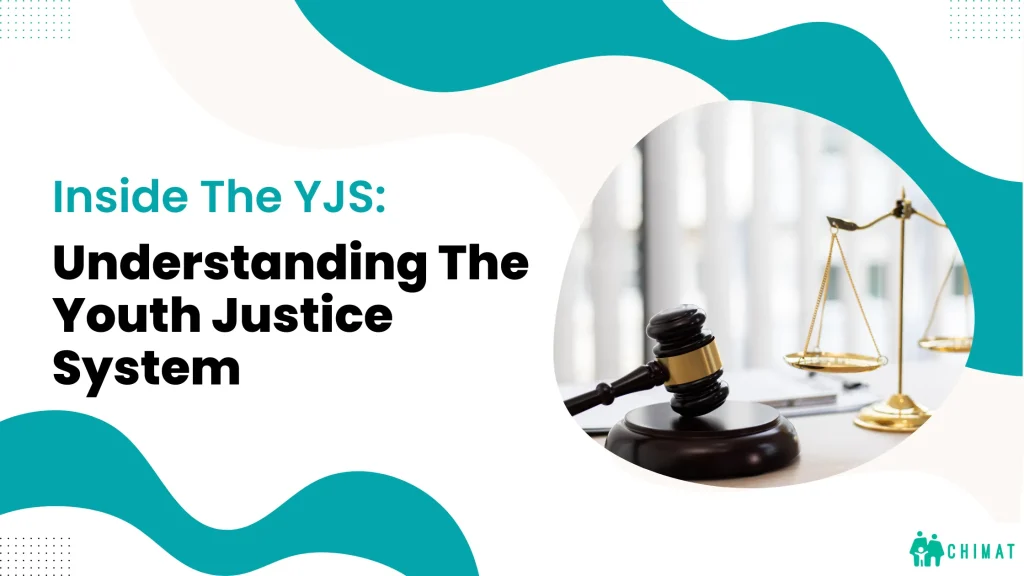 What is the youth justice system?